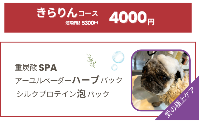 きらりんコース