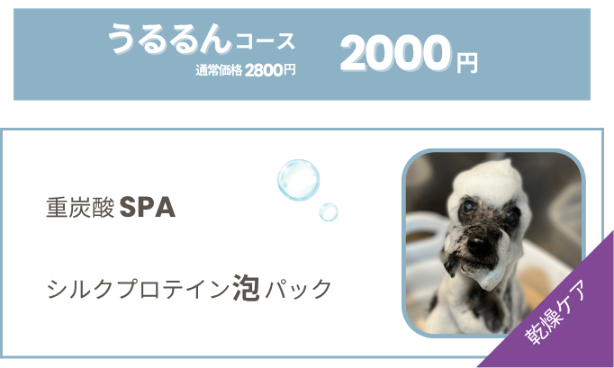 うるるんコース
