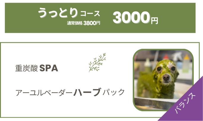 うっとりコース