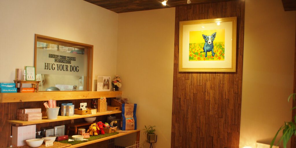 DOG SALON cutie 店内